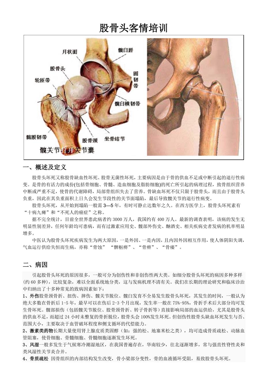 医院骨科培训材料讲义股骨头培训资料股骨头培训_第1页