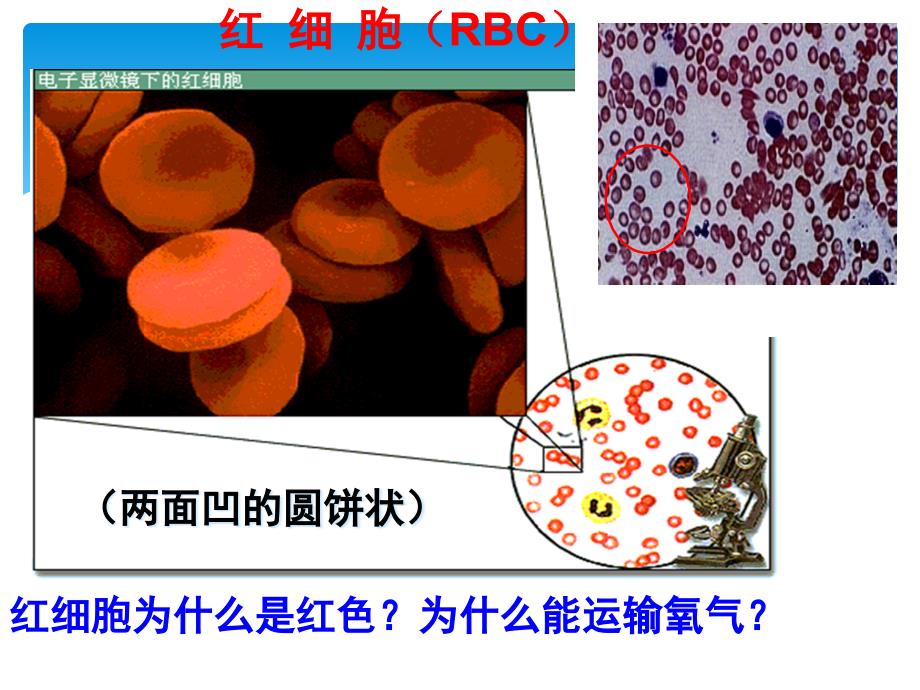 中考突破2017中考生物七下专题四血液循环课件_第4页