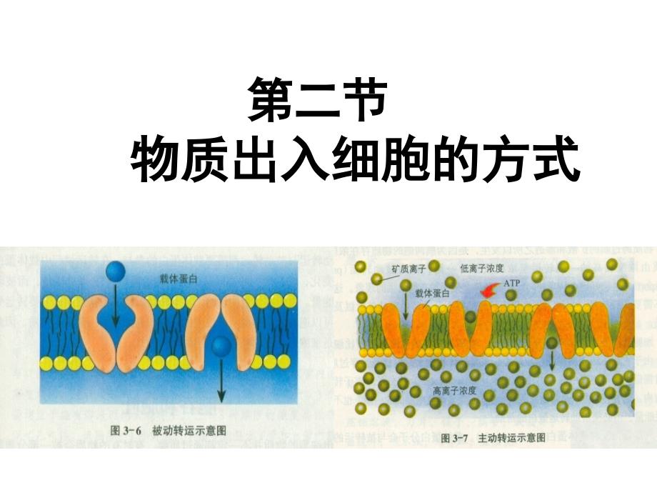 物质出入细胞的方式课件_第1页