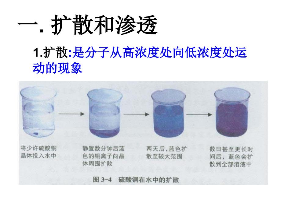 物质出入细胞的方式课件_第2页