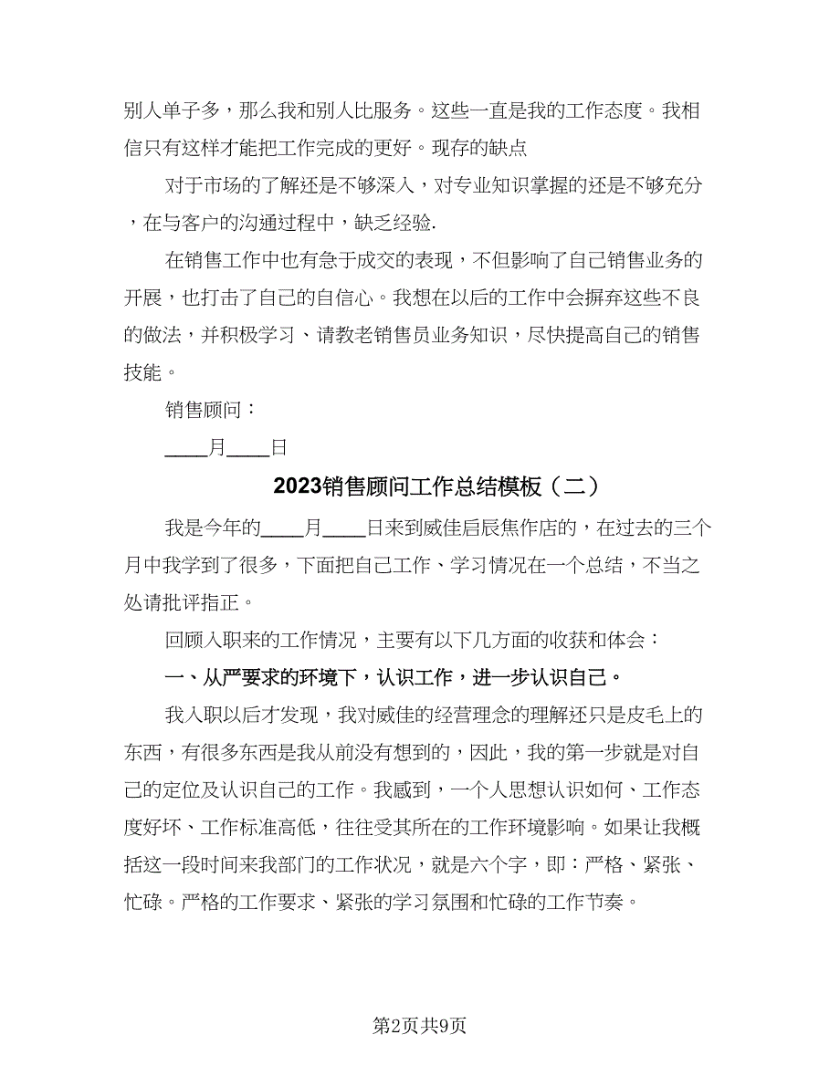 2023销售顾问工作总结模板（6篇）_第2页