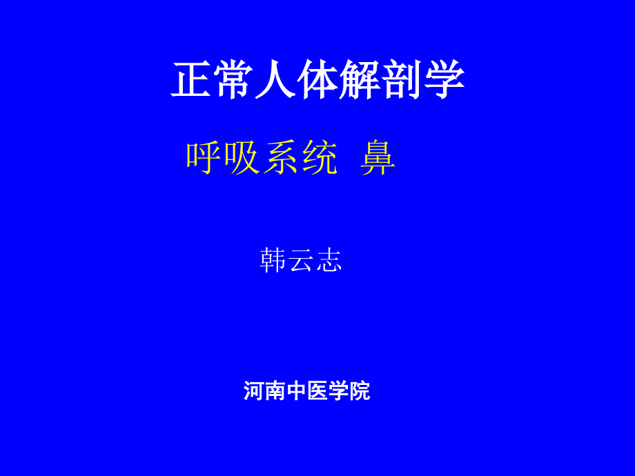 系统解剖学呼吸系统鼻_第1页