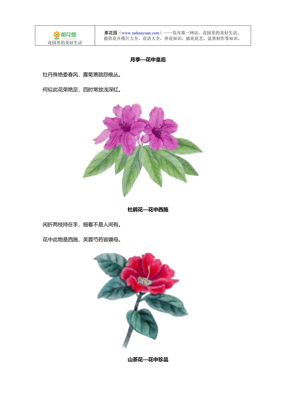 中国十大名花花诗欣赏.doc_第3页