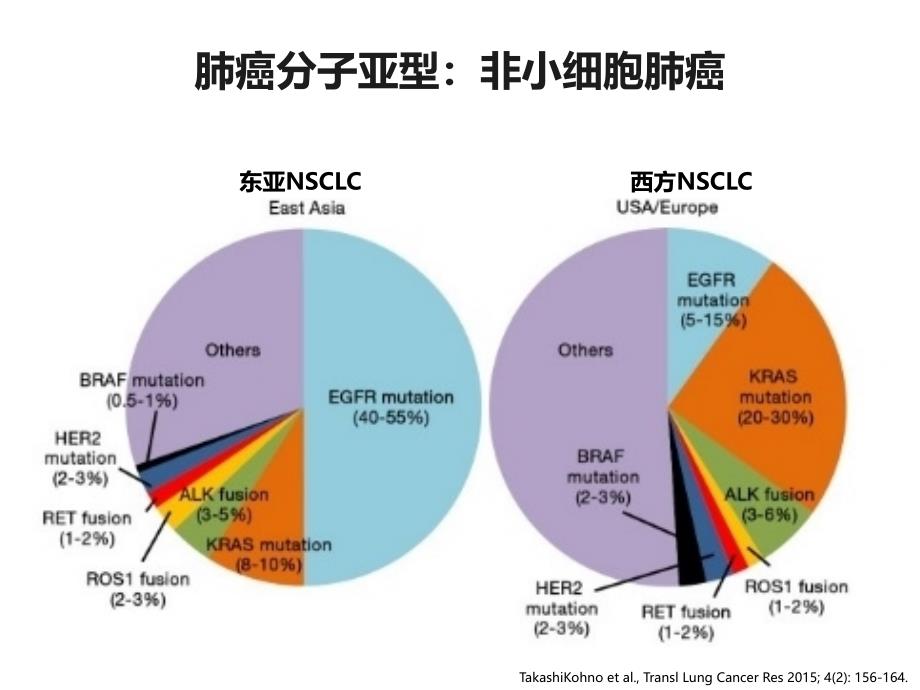 EGFR-TKI药物如何让患者最大化地受益备课讲稿_第2页