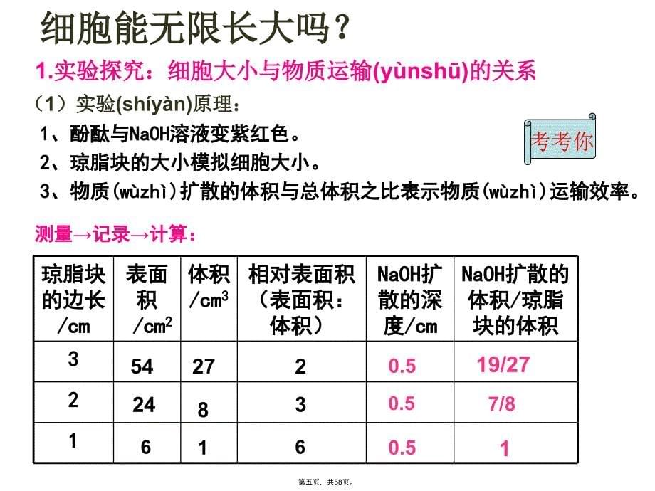 人教版生物必修一有丝分裂教学提纲_第5页