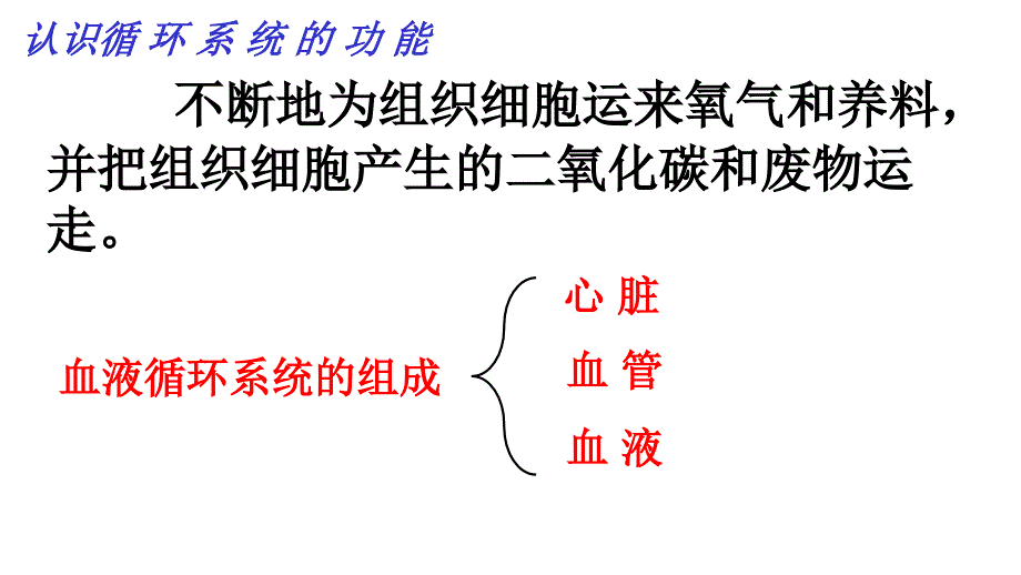 人体内的物质运输_第2页