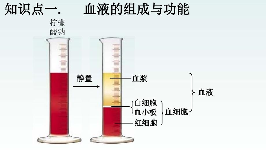 人体内的物质运输_第3页