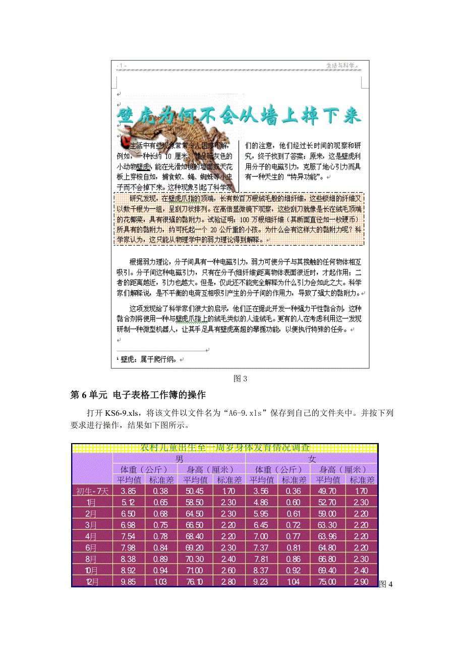 OSTA办公软件应用(中级)模拟试题二.doc_第4页