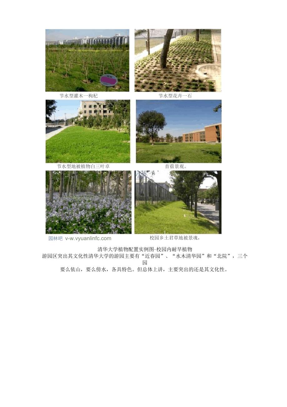 清华大学校园植物配置解析_第2页