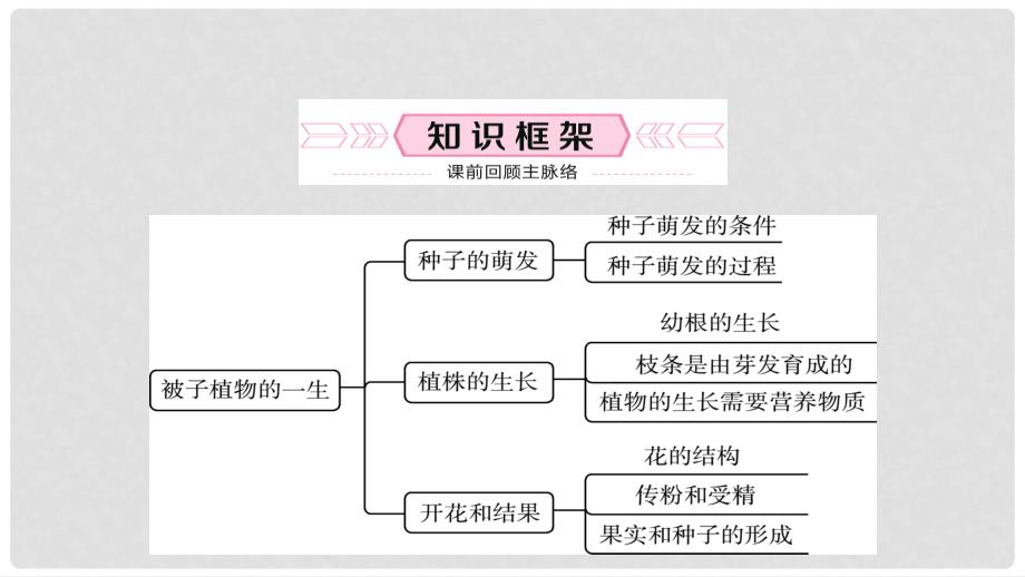 中考生物总复习 七上 第三单元 第二章 被子植物的一生教材梳理课件_第2页