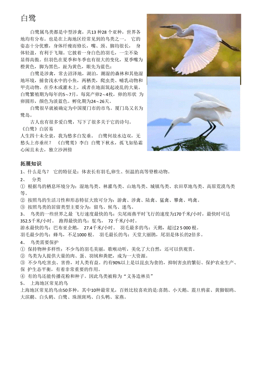 白鹭及鸟的知识_第1页