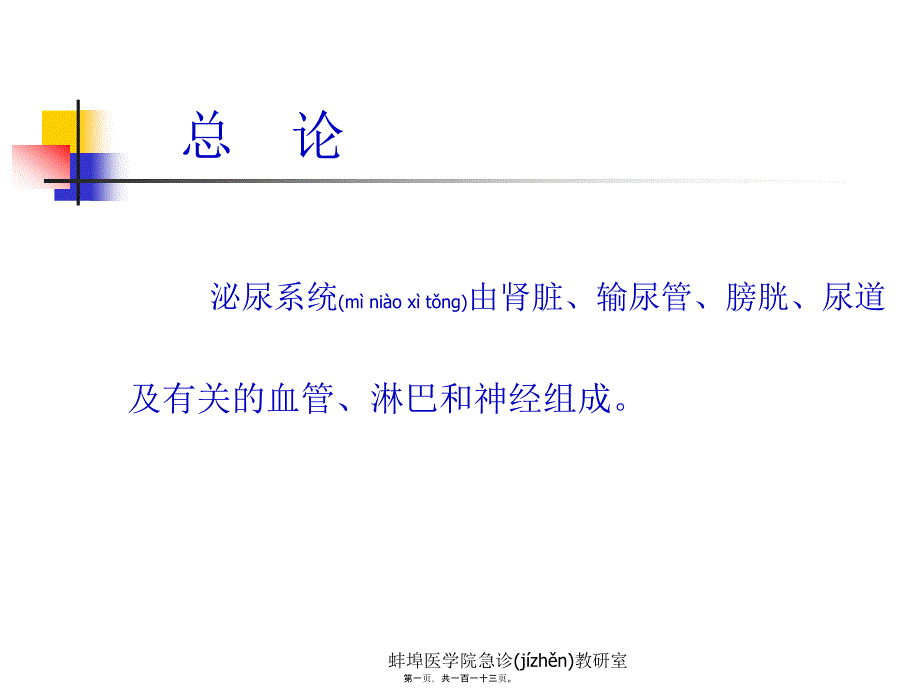 医学专题—泌尿与男性生殖系lgy18508_第1页