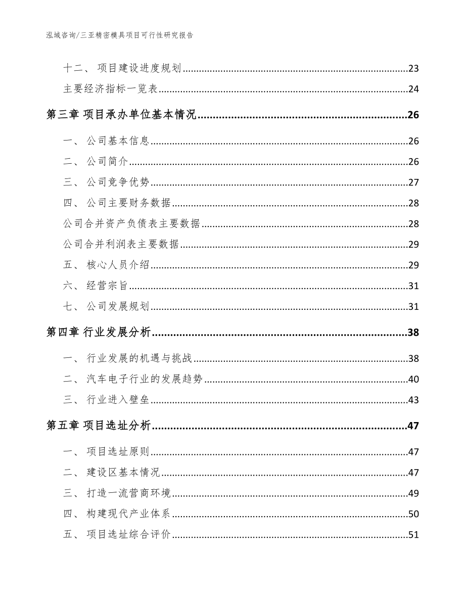 三亚精密模具项目可行性研究报告（模板范文）_第4页