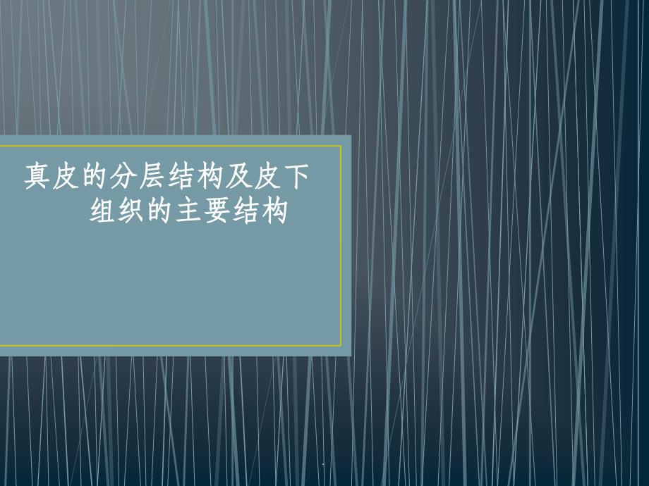 真皮的分层结构及皮下组织的主要结构_第1页