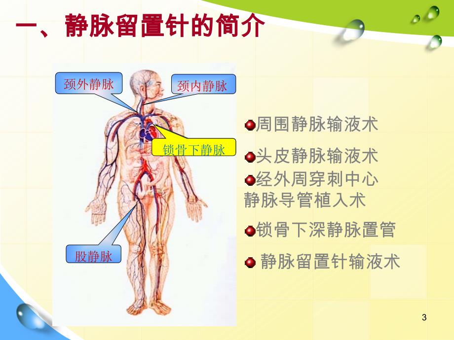 静脉留置针常见并发症预防及护理课件_第3页