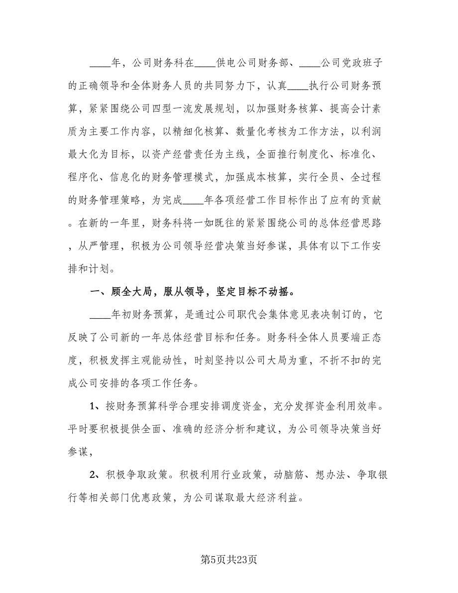 公司财务的个人工作计划标准模板（八篇）.doc_第5页