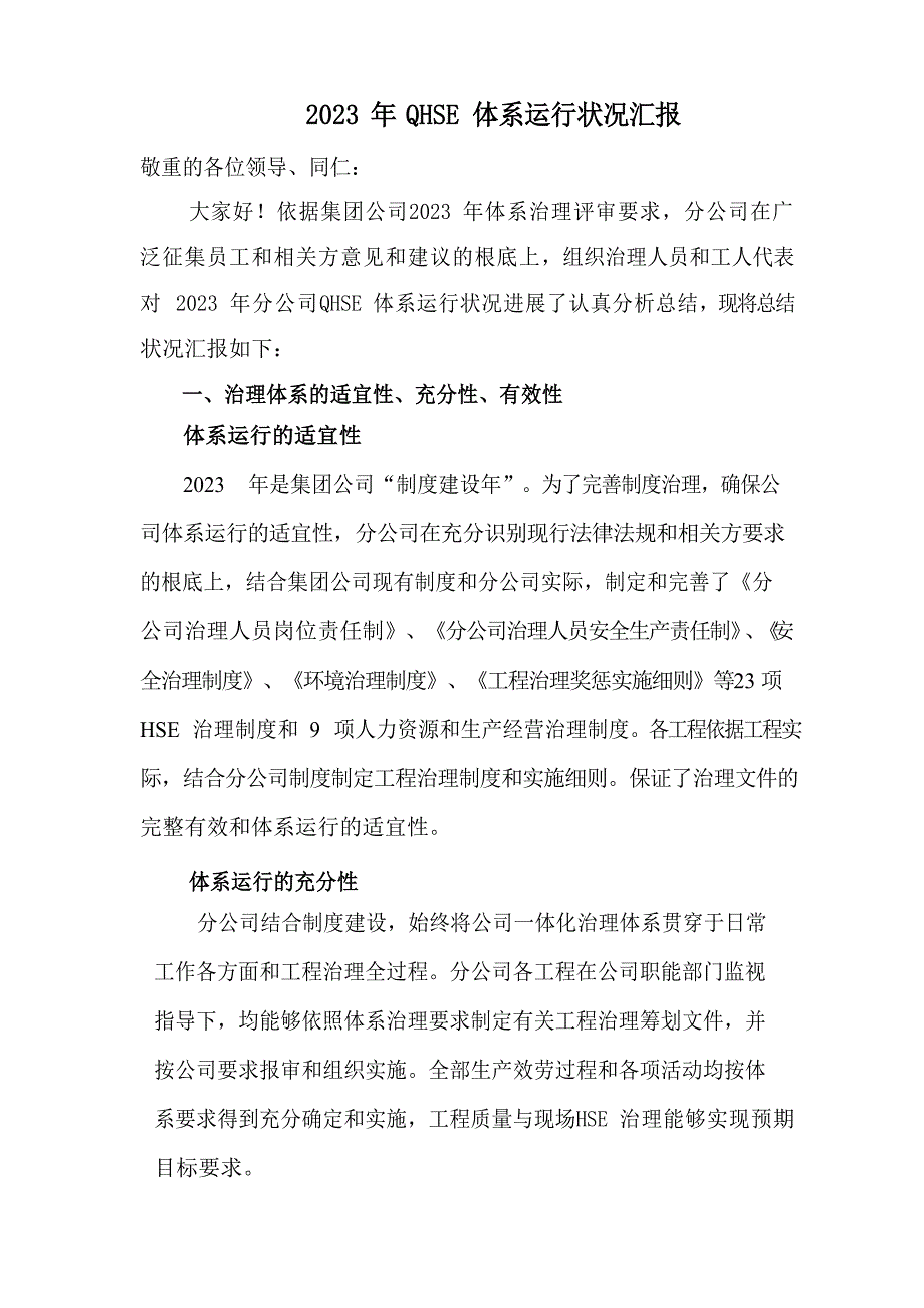 2023年QHSE体系运行情况汇报_第1页