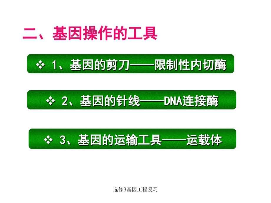 选修3基因工程复习课件_第5页