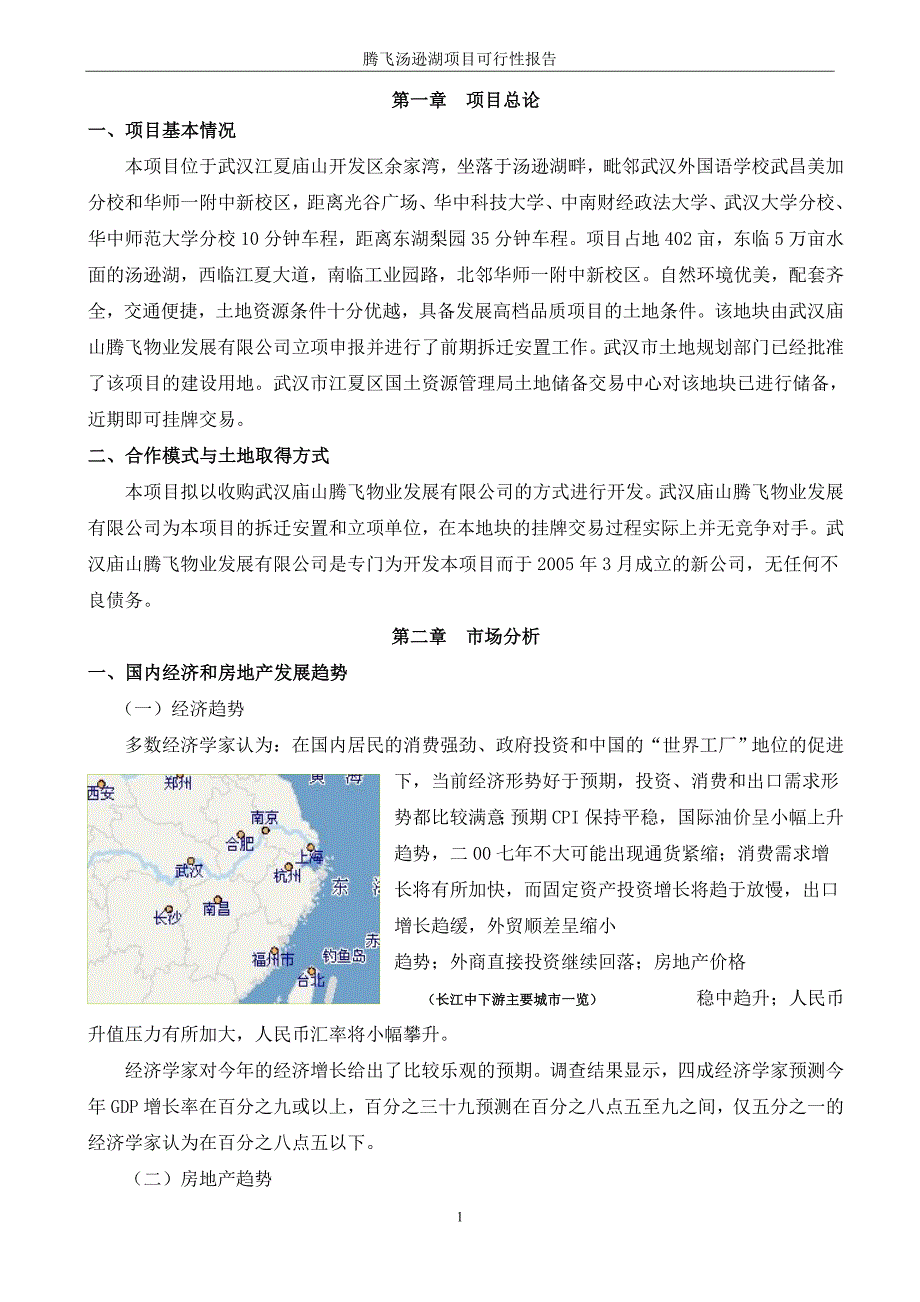 腾飞汤逊湖项目可行性研究报告.doc_第1页