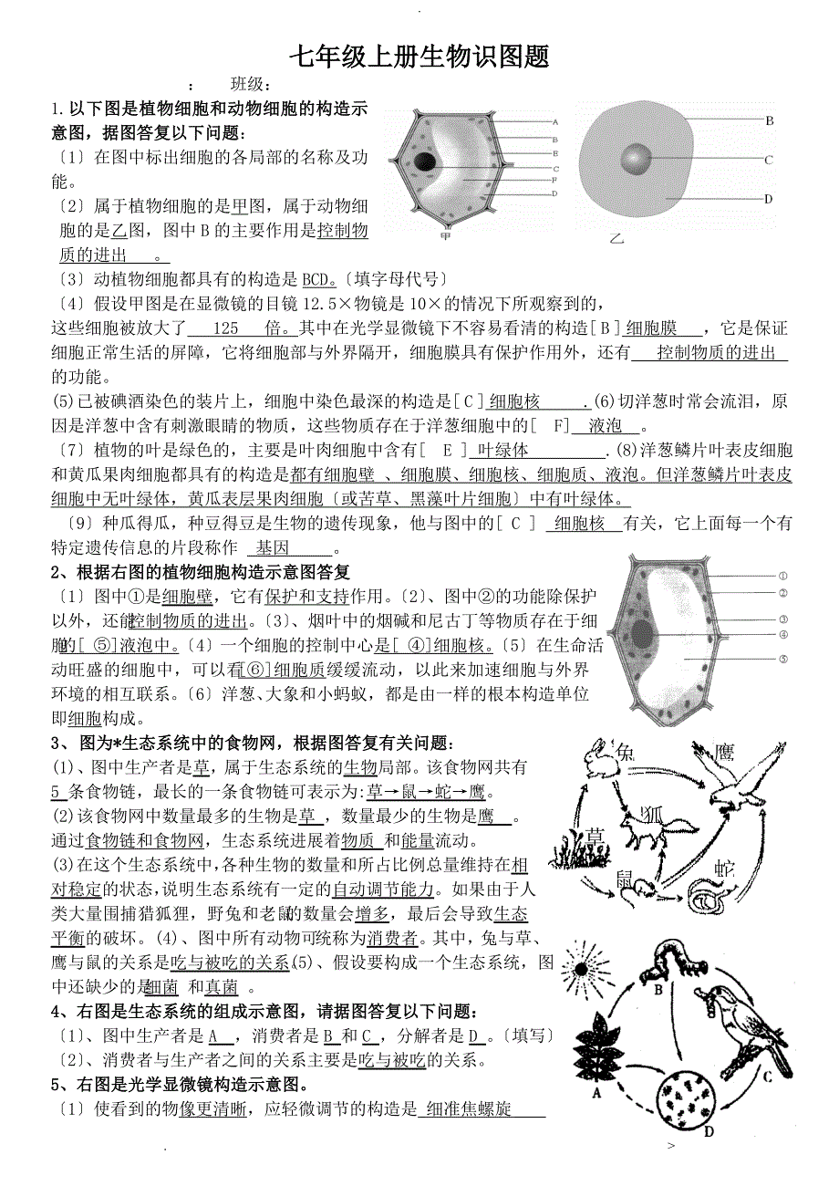 生物七年级生物上册识图题带答案_第1页