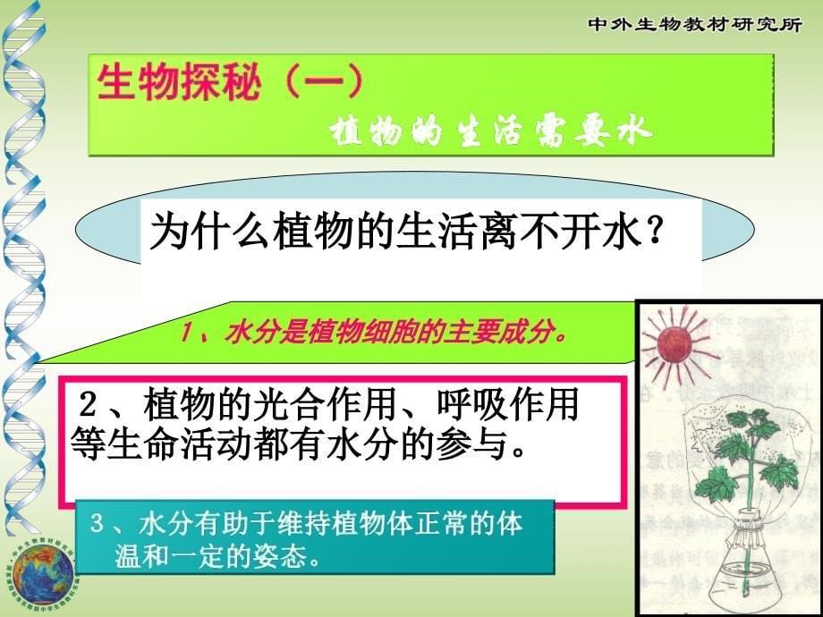 植物生长需要水和无机盐.ppt_第5页