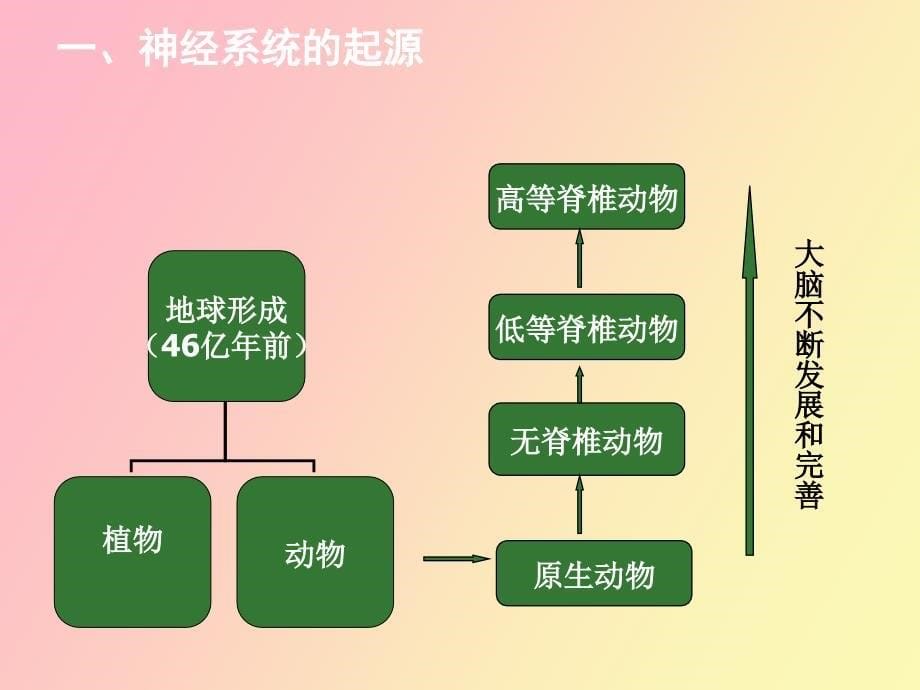 心理的神经生理机制_第5页