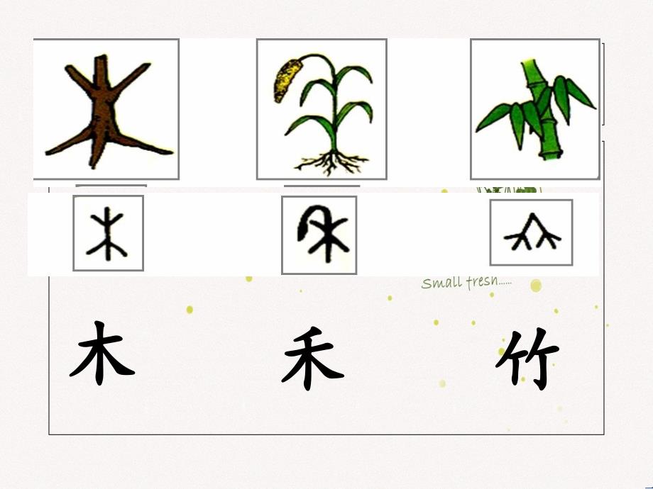 2口耳目PPT课件_第4页