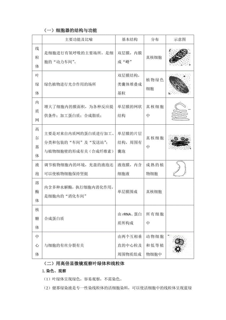 第三章细胞的基本结构基础知识 高一生物人教版必修一.docx_第5页