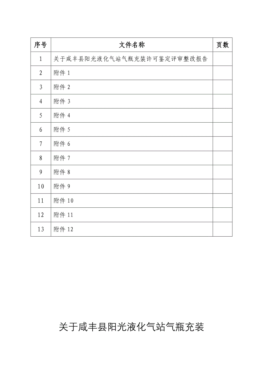 设备管理_特种设备气瓶充装鉴定评审整改报告_第2页