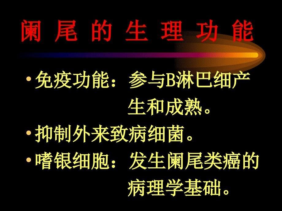 阑-尾-炎腹部教学幻灯课件_第5页