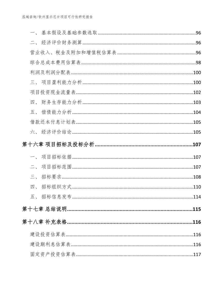 钦州显示芯片项目可行性研究报告（模板范文）_第5页