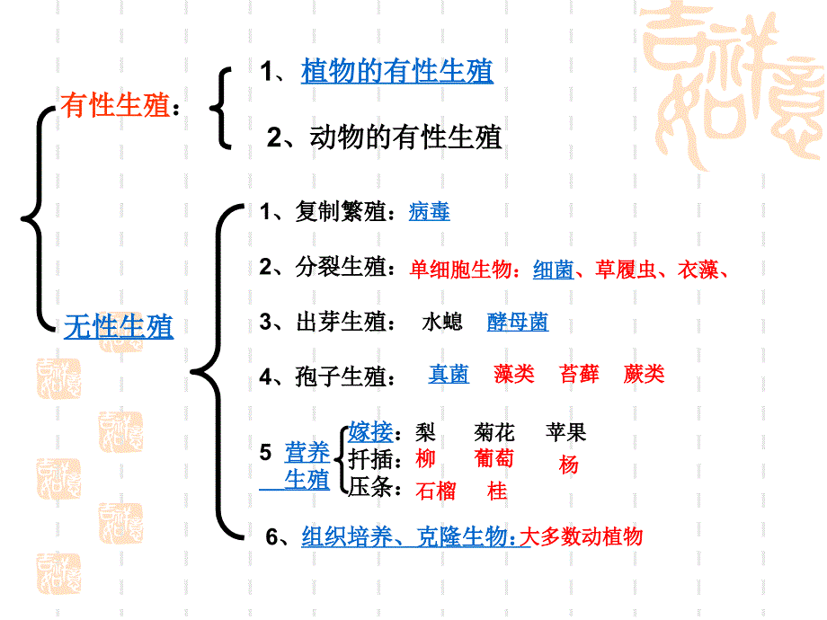 第一节植物的生殖_第3页