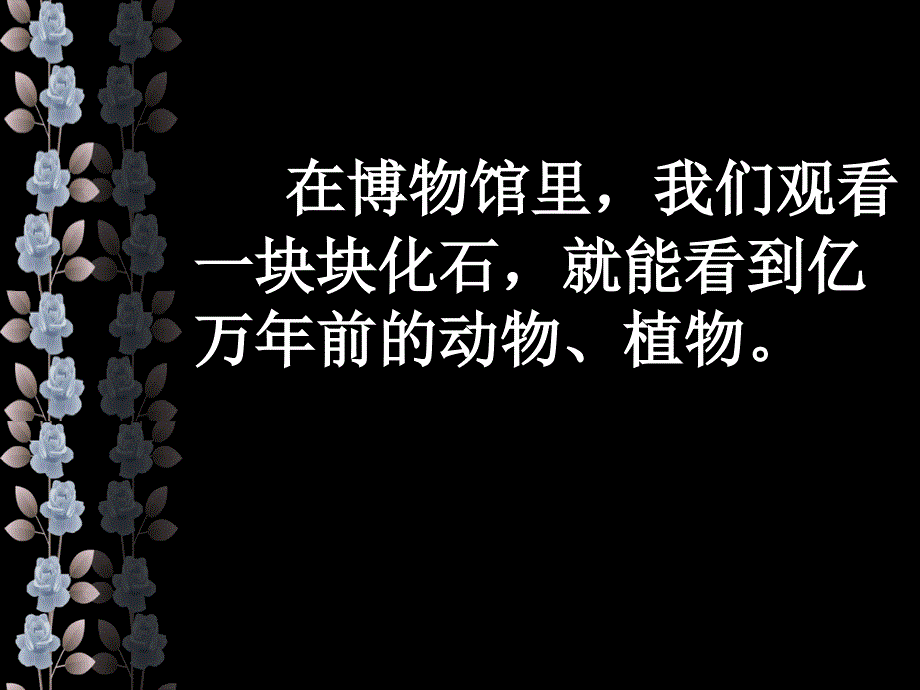 《活化石》课件_第4页