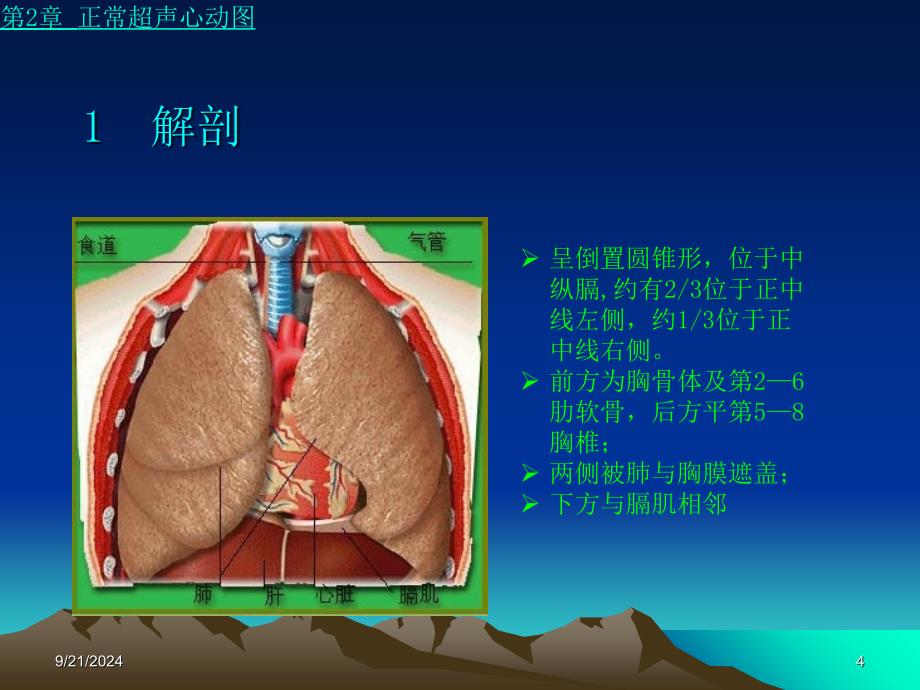 《正常超声心动》PPT课件_第4页