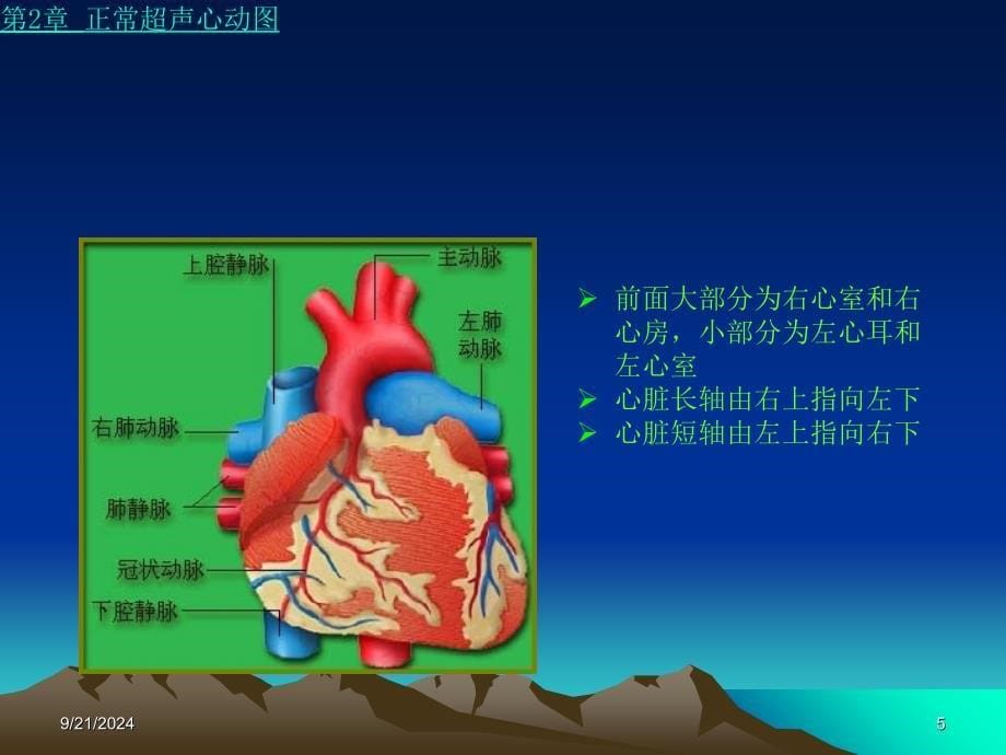 《正常超声心动》PPT课件_第5页