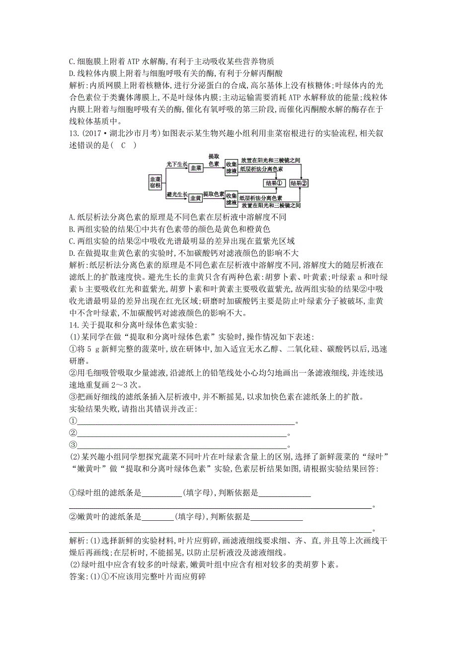 2022年高中生物第五章细胞的能量供应和利用第4节能量之源-光与光合作用第1课时捕获光能的色素和结构练习新人教版必修1_第4页