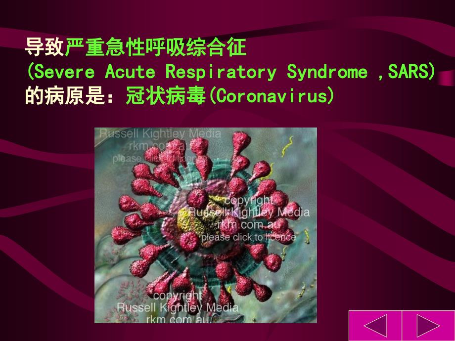 Sars病毒的认知介绍讲课稿_第2页