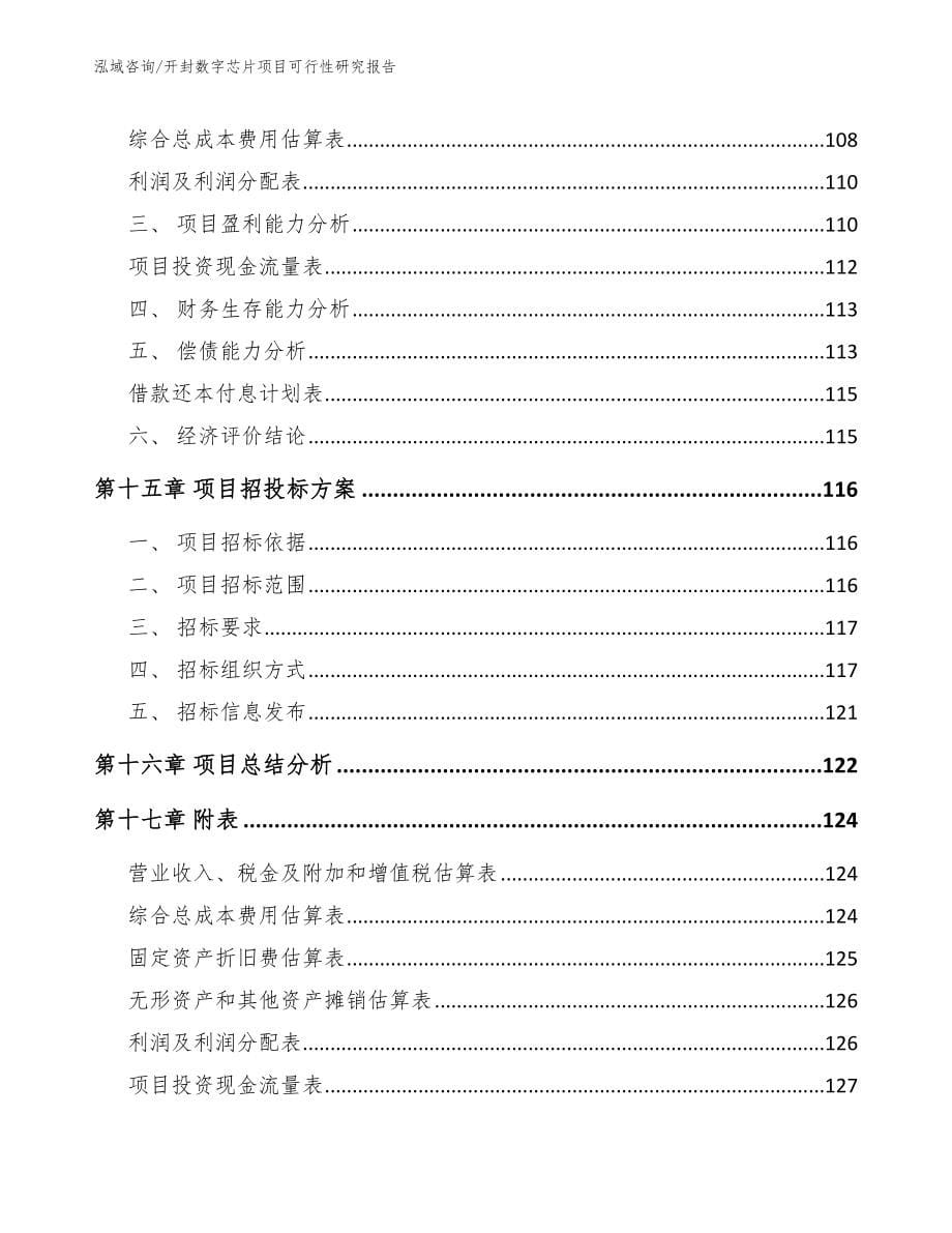 开封数字芯片项目可行性研究报告【模板范本】_第5页