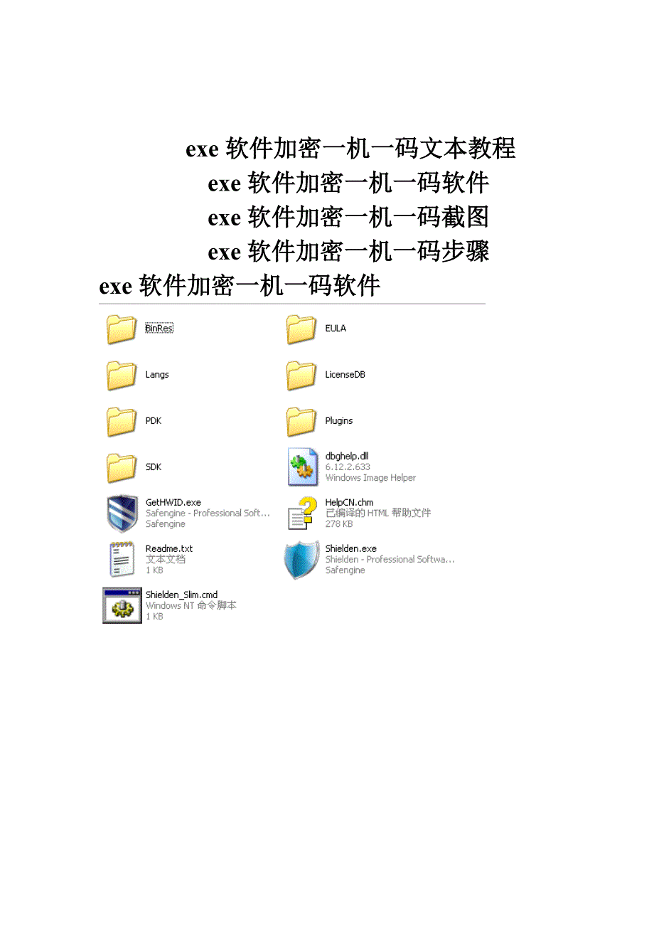 exe软件加密一机一码.doc_第1页