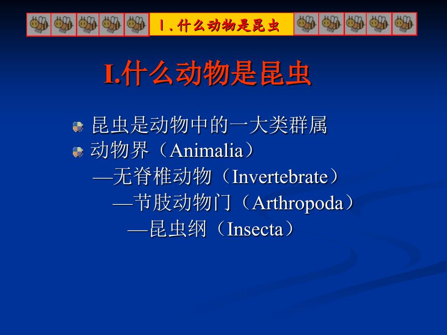 《昆虫研究方法》PPT课件_第3页