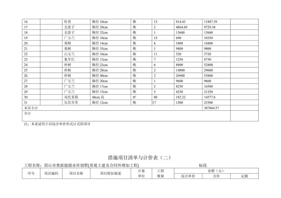 措施项目清单与计价表(二)_第5页