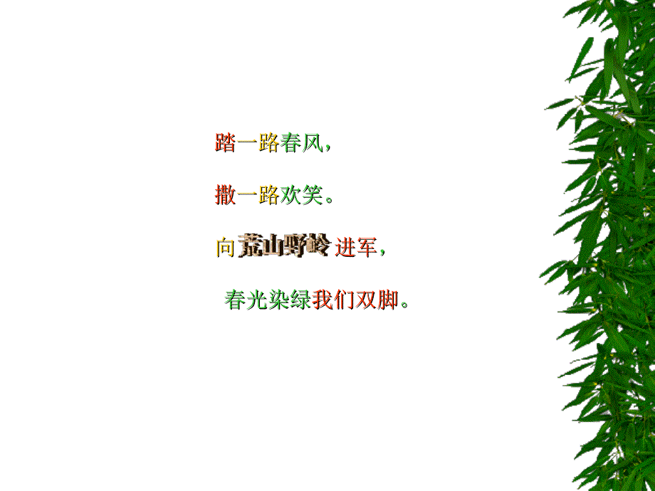 1光染绿我们双脚PPT课件_第4页