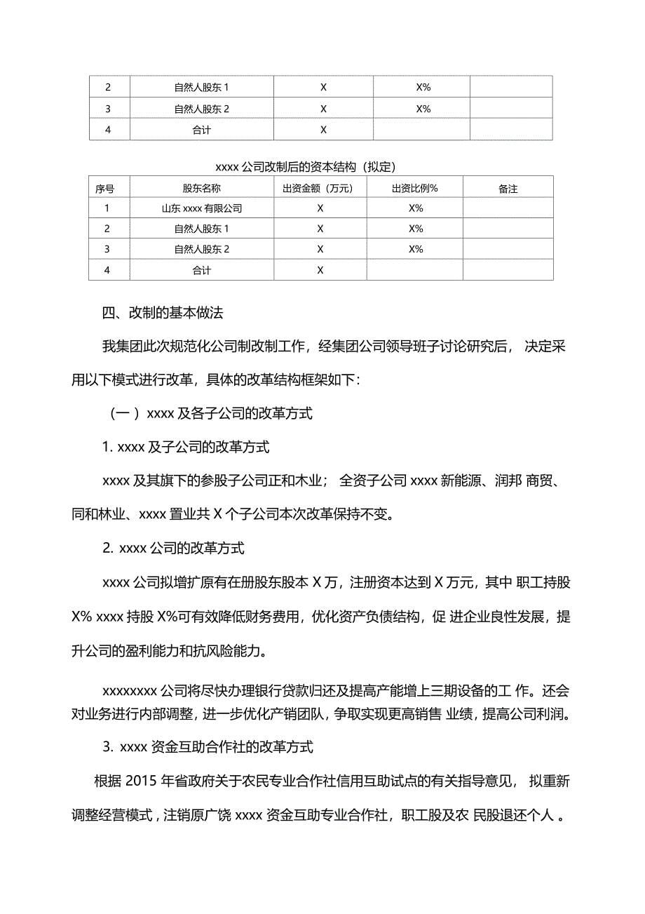 公司制改制方案模板_第5页