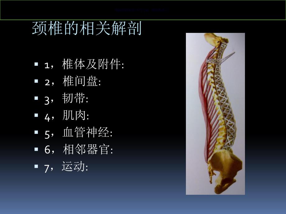 颈腰椎病的手术治疗课件_第1页