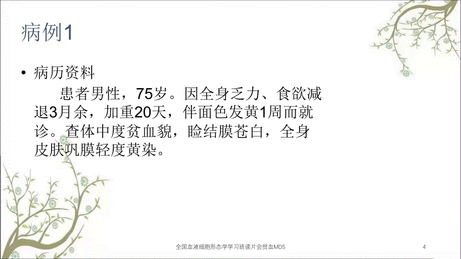 全国血液细胞形态学学习班读片会贫血MDS_第4页