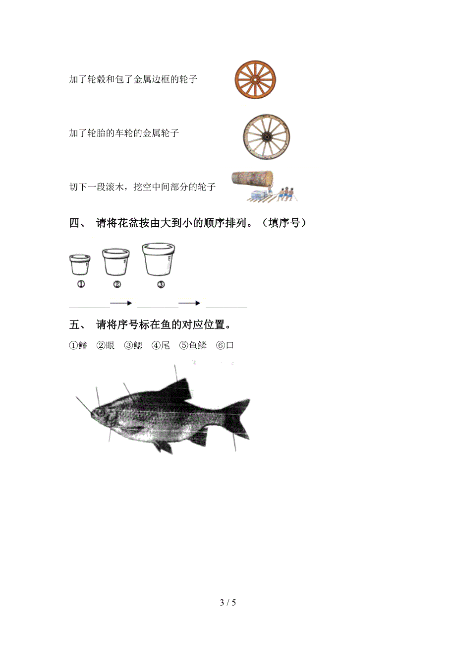 苏教版一年级科学下册期中考试卷及完整答案.doc_第3页