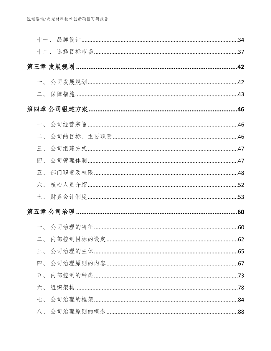 反光材料技术创新项目可研报告（范文模板）_第2页