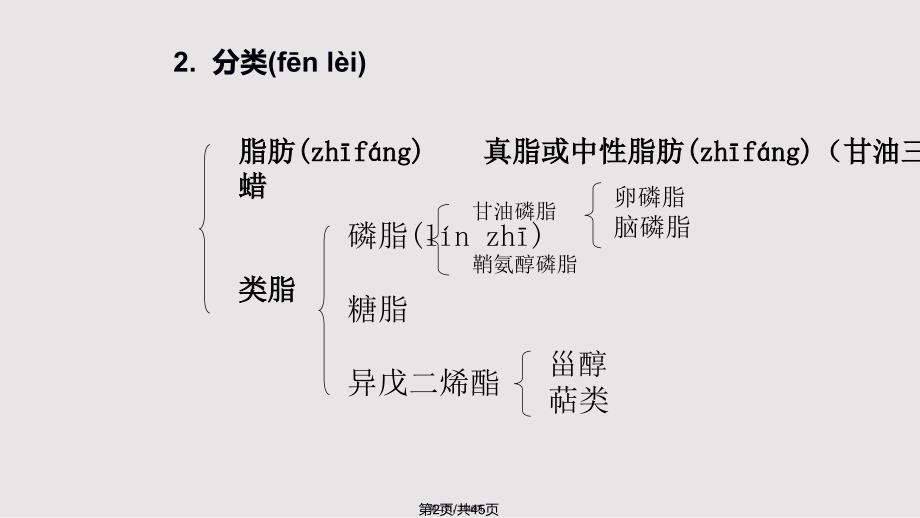 6脂类代谢1实用教案_第2页