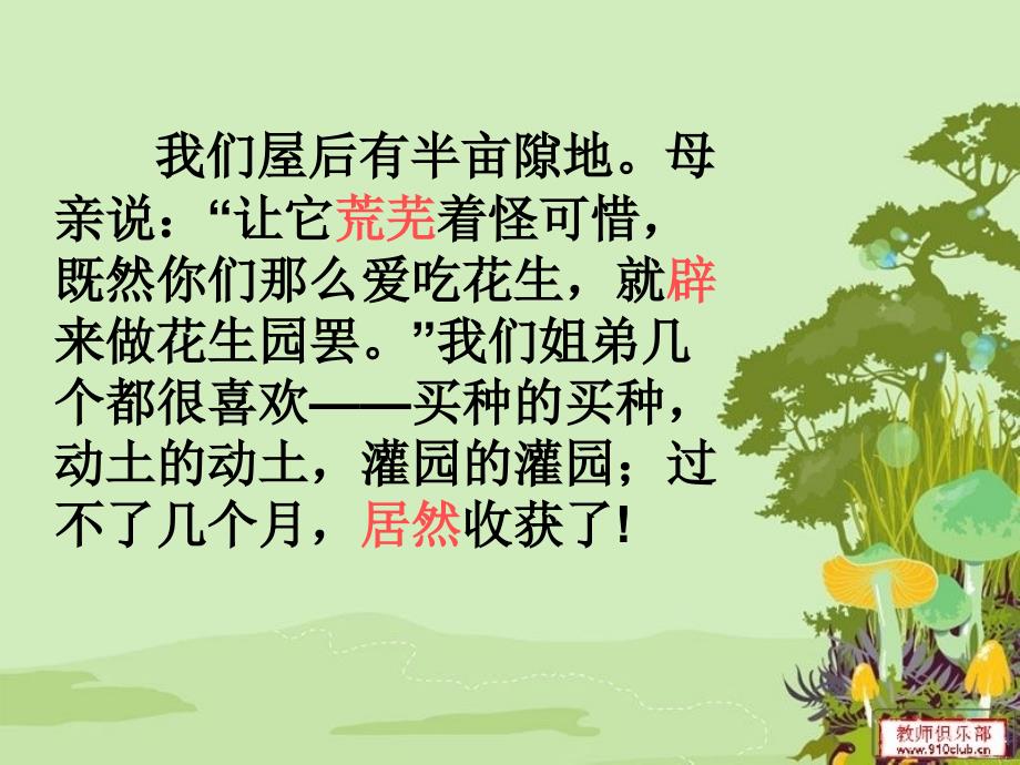 落花生_教学课件_PPT_第4页