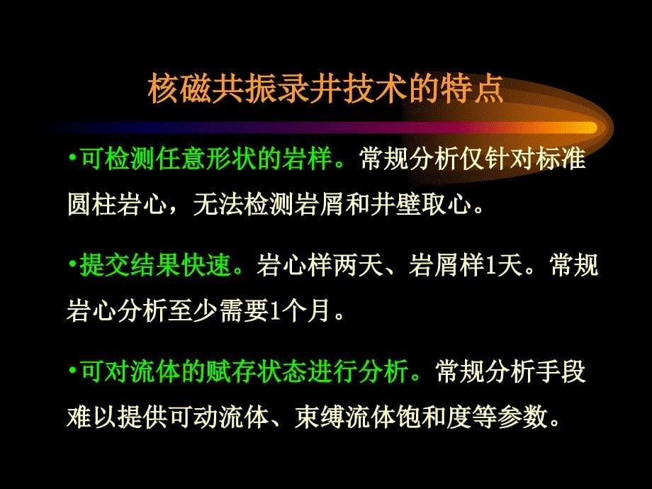 储层评价参数核磁共振检测技术_第5页